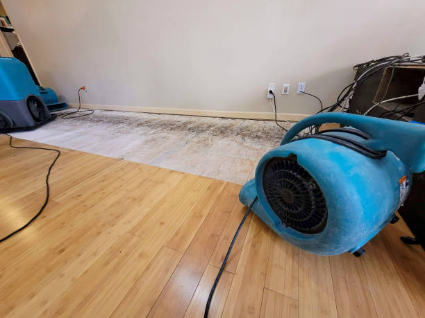 Professional Flood Damage Cleanup technician working in Moody, TX